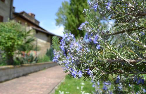 Agriturismo Nestore - Foto 62