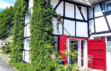 Eyes Ferienhaus im Nationalpark Eifel - Foto 19