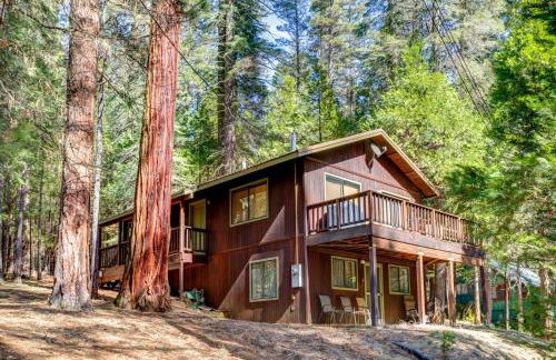 Cecil's Cabin - Foto 1