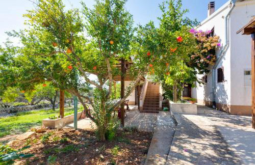 Eco Secluded apartments Zabodarski - Foto 21