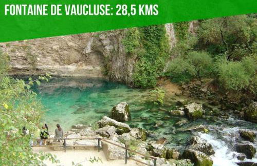 Casa avignonnaise - Photo 13