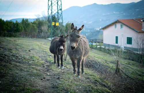 Agriturismo Terra e Cielo - Photo 29