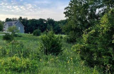 Gorgeous cabin 3bdrm/3bth, hot tub, fireplace, kid/pet friendly - Foto 11