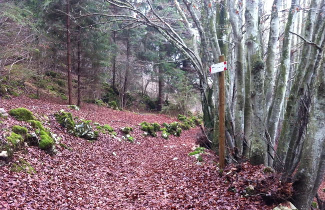 Locanda Alla Stella - Foto 50