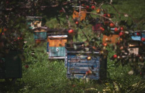 Pasieka - Dom Wypoczynkowy - Foto 45