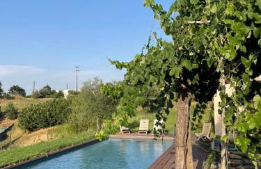 Vale das Maias - Casa de Campo - Foto 3