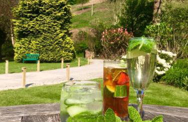 Combe House Hotel - Foto 12