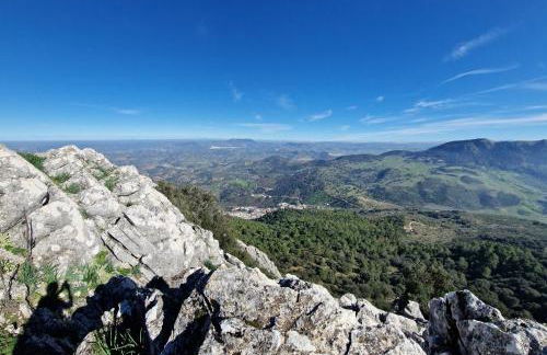 El Pitijopo - Foto 46