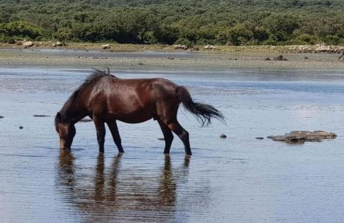 Holiday Home mit Wasserblick by Interhome - Foto 61