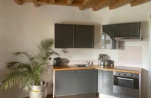 Chateau de la Preuille Gites - Foto 50