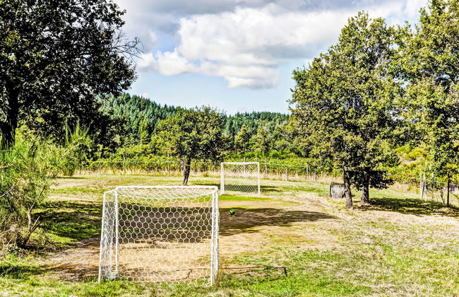 Pulcino n°3 - Foto 15