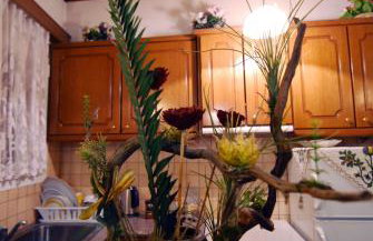 To Spiti tis Pareas - Foto 14