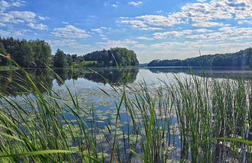 Domek w zaciszu - Foto 9