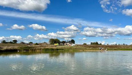Grand Gîte en campagne avec étang - Photo 2, Garden