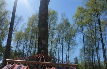 Linia brzegowa prywatny pomost własny kajak hamaki grill ognisko kominek w domu taras Domek dla 6 osób nad samą wodą BRZÓZKI 1 - Foto 18