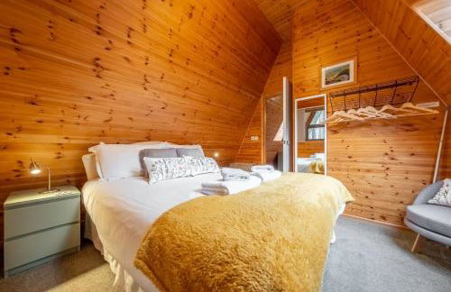 Woodpecker - Photo 4