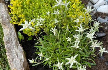 OpenSpace Livigno - Foto 24