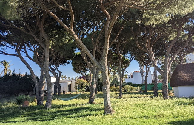 Villa Pinos Zahora - Beach Front Pine Trees - Foto 37