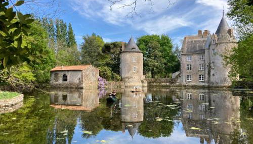 Chateau de la Preuille Gites - Foto 5