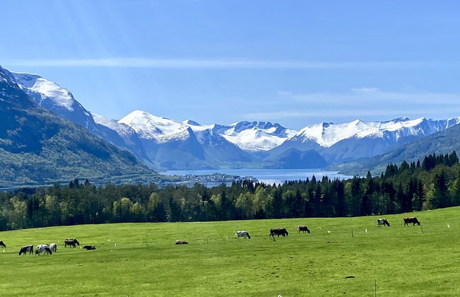 Heinåli Hytta - Foto 31