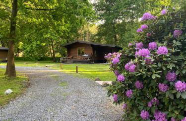 Heidegut Eschede Reitsportanlage und Feriendorf - Foto 59