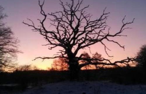 Apartment Turmwohnung by Interhome - Foto 15