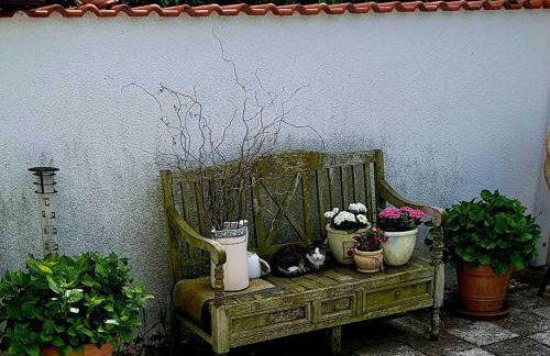 Ferienwohnung Riemeyer - Foto 35