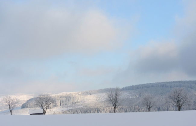 Garden-view Villa in Medebach Kustelberg - Foto 32