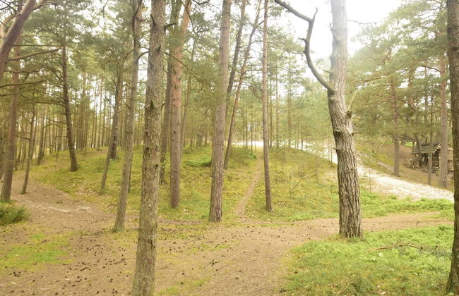 Tasteful Villa on the Polish Coast in Beautiful Nature, Lovely Garden, Sauna - Photo 34