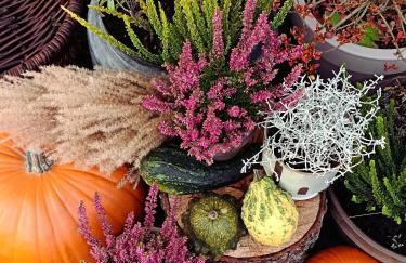 Domki na polance - Foto 15