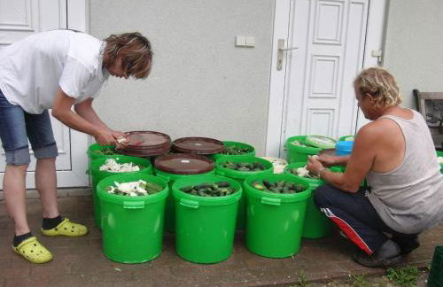 Ferienwohnung auf dem Gemüsehof an der Spree - Foto 14