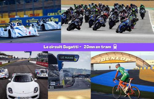 Flexy - T2 - L' Agate Grise - Le Mans - Foto 8