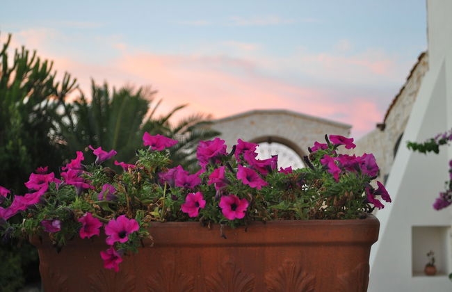 Agriturismo Masseria Del Crocifisso - Photo 59