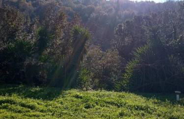 Persefoni's Traditional House - Foto 20