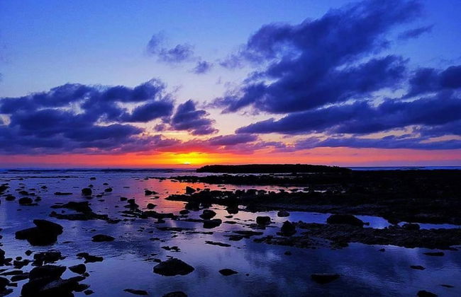Cabanon pied dans l eau - Photo 10