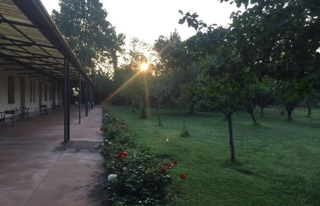 Agriturismo Corte San Girolamo - Foto 19