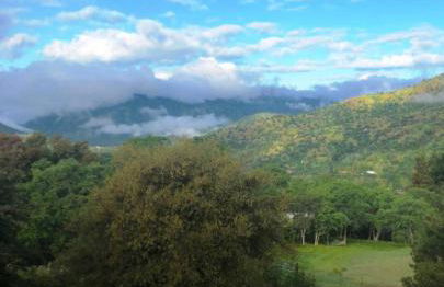 The Quail's Nest - Foto 20