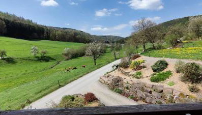 Ferienwohnung Hennrich - Foto 5, Garden view