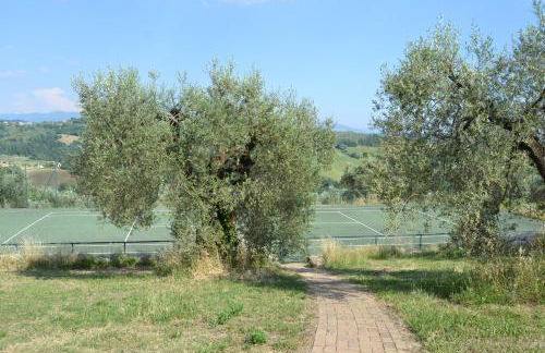 Tenuta Pizzogallo - Foto 58