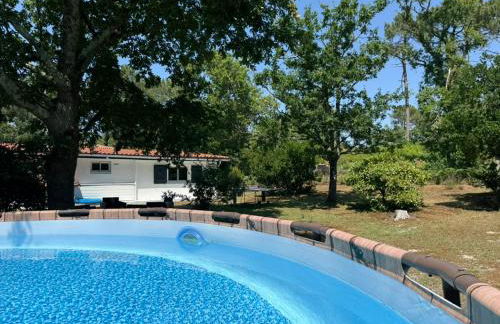 La Maison de la forêt - Foto 11