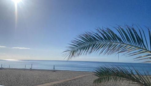 Residence costa dei gigli 3 - Foto 3