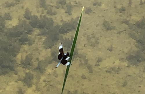 Fishers Of Men Ranch Home - Photo 62