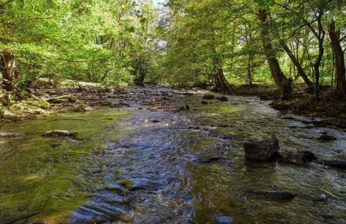 Wandering Creek - 2 Bedrooms, 1 Baths, Sleeps 6 Cabin by RedAwning - Photo 32