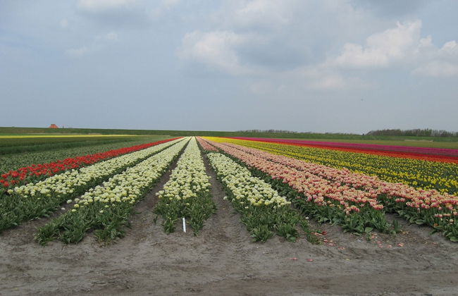 Inviting Farmhouse in 't Zand near Marine Museum - Foto 38