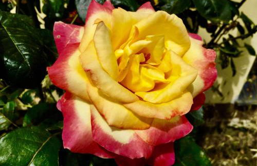 Agriturismo Monaci Templari - Foto 43