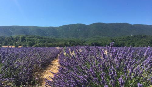 Domaine de la Bastidonne - Foto 5