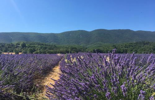 Domaine de la Bastidonne - Foto 5