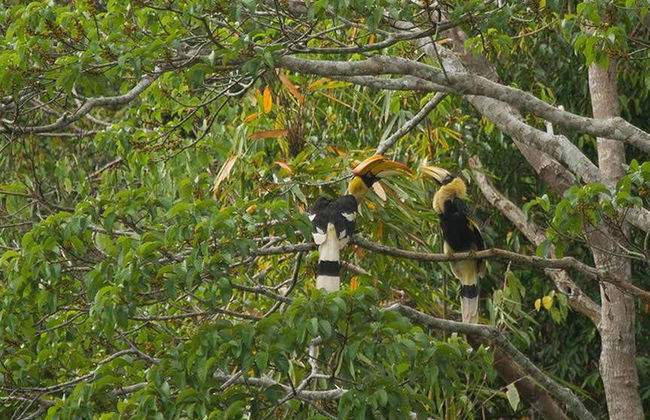 Escursione al lago Cheow Lan - Foto 4