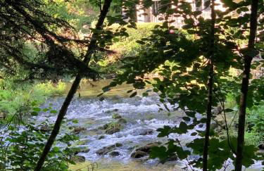 Brittany Countryside Retreat 3 Bedrooms Sleeps 6 Pet Friendly Heated Swimming Pool Free Wifi - Foto 27