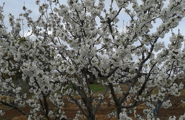 Casa Rural la Vallejera - Photo 38